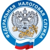 Федеральная налоговая служба России (ФНС)